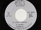 Folk Rock AOR Synth 45 - Woodeye - My Sweet Germane - Stone - unknown?