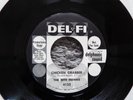 SUPER RARE R&B ROCKER-DEL FI 4122-THE NITE HAWKS-CHICKEN GRABBER-PROMO-45-NICE