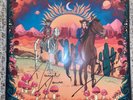 Daniel Donato A YOUNG MAN'S COUNTRY vinyl SIGNED LP Robben Ford