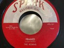The Robins - 45 7