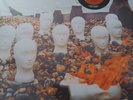 CRESSIDA - ASYLUM (LP VINILE COLORATO EDIZIONE LIMITATA NUOVO SIGILLATO 2024)