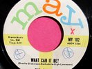 THE ALVANS - Who Can it Be / Love is a Game - 45 rpm - May 102