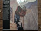 LOS CAMPESINOS  We Are Beautiful, We Are Doomed - Vinyl Me Please -  In hand
