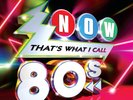 Various Artists Now That's What I Call the 80s (Vinyl) 12