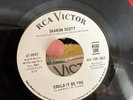 Northern Soul R&b Original Sharon Scott Could It Be You RCA Demo Ex