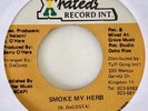 SWELELE Smoke My Herb X RATED 90's Roots Reggae 7
