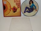 KATE BUSH - The Kick Inside - Rare 1st Press UK Picture Disc LP (Vinyl Record)