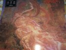 MORBID ANGEL - Blessed are the Sick, 1st press Vinyl, LP 1991 (Earache)