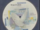 Madness(7