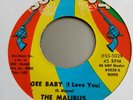 The Malibus  -  Gee Baby (  I Love You  )   -  SURE SHOT  -  Northern Soul