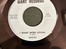CHYLDS I Want More / Hay Girl 45 Giant VG++ Vinyl Garage