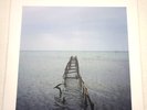 John Patitucci – Irmãos De Fé  	Newvelle Records NV007LP  Doug Ramsey Library