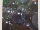 SEAM ‎– The Problem With Me Vinyl LP 1993 Touch & Go TG-118 Sooyoung Park