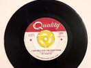 The HAUNTED I Can Only Give You Everything 45 RPM IMPORT Garage Band 1840X