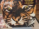 EYE OF THE TIGER 