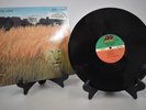 WHITE LION Big Game ATLANTIC LP 81969 IN SHRINK NM