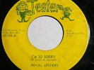 ROYAL JESTERS I'm So Sorry/ Take Me For A Little While 45 RARE Nothern Soul HEAR