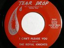 ROYAL KNIGHTS I Can't Please You/ I Need You 45 RARE TX Sweet Soul Garage HEAR
