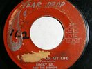 ROCKY GIL & BISHOPS It’s Not The End 45 Tear Drop RARE TX CHICANO NORTHERN SOUL