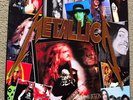 2009 Rare #11/50 Terror On The Ice Record LP Metallica  Lacquer Plate 8 Tracks