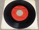 Mike & The Dimensions Little Latin Lupe Lu / Why US 1965 GARAGE VG+ 45 RARE