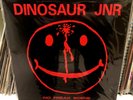 RARE 1989 DINOSAUR JR No Freak Scene LP VINYL J Mascis Deep Wound
