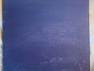 ISIS Panopticon BLACK Vinyl LP Record Album -  Record 1 & 1/2 Cover  2007