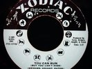 RUBY ANDREWS Wonderful Nite & You Can Run  Rare Funk Soul 45 ZODIAC #1007