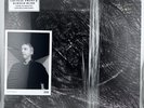 SIGNED & IN HAND  Cocteau Twins Harold Budd The Moon And The Melodies LP 2024