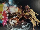 Santana - Santana III - Japan Vinyl - SQ QUADRAPHONIC - SOPN-18
