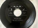 NEW FUGITIVES”45 rpm”1966 GARAGE ROCK -Matrix#G 5241 GLO Label VG+