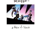 Rush A Show Of Hands 2xLP Album Gat Vinyl Schallplatte 078