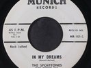 SPORTTONES: in my dreams / so sincere MUNICH 7