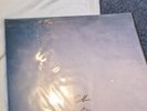 Eden - Vertigo SIGNED Transparent Vinyl RARE