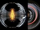 Pearl Jam Dark Matter Zoetrope Blood Records Limited /1000 PRESALE 11/8/24