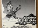 RICHARDSON HIGH SCHOOL GOLDEN EAGLE BAND '83 Symphonic & Jazz Band 2 LPs TEXAS