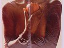 Ohio Players-First Fruit-1977 UpFront Records UPF-167 Funk/Soul Vinyl LP  NM/NM