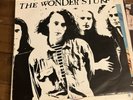 Vinyl Record 12