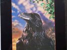 LP Stranglers  The Raven  3D-Cov.  1979 UA