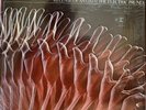 THE ELECTRIC PRUNES Release Of An Oath The Kol Nidre REPRISE RS 6316 OG shkwp NM