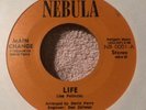 RARE NORTHERN SOUL 45 -MAIN CHANGE life / Sunshine Is Her Way NEBULA 1972