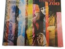 LP-The Tangerine Zoo. Outside Looking In LP Repress Vinyl 1968 Psych Rock