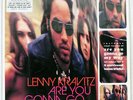 LENNY KRAVITZ ARE YOU GONNA GO MY WAY VIRGIN 724383916900 US VINYL LP