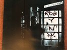 ROBYN HITCHCOCK 'N' THE EGYPTIANS LP VINYL RECORD PLAY TESTED EXCELLENT SIGNED?