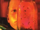 Jar of Flies by Alice in Chains (Record, 2010)