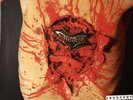 Dismember Vinyl Indecent And Obscene LP Megarar  Grotesque Gorement Nihilist