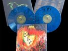 *EXCLUSIVE* BESPOKE HAND SIGNED Snow Patrol 'Forest Is the Path' - 2x Blue Vinyl