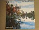 MIKE SANTIAGO / ENTITY WHITE TREES LP '77 CHIAROSCURO CR-193 FREE JAZZ FUNK VG++