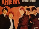 Them - Here Comes The Night Vinyl, LP, Album, Mono, Gloversville Press