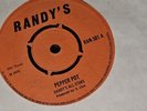 Reggae / pepper Pot - The Same Things - Randys All Stars   ‎RAN 501 , VGC